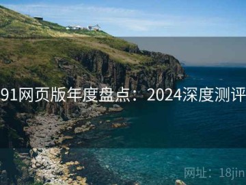 91网页版年度盘点：2024深度测评