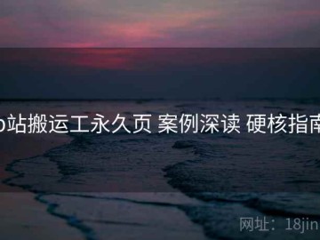 p站搬运工永久页 案例深读 硬核指南