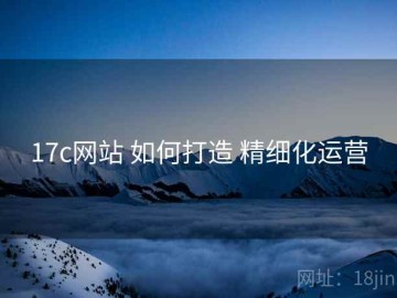 17c网站 如何打造 精细化运营