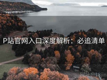 P站官网入口深度解析：必追清单