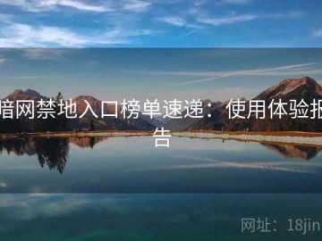 暗网禁地入口榜单速递：使用体验报告