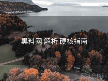 黑料网 解析 硬核指南