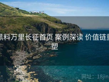黑料万里长征首页 案例深读 价值链重塑