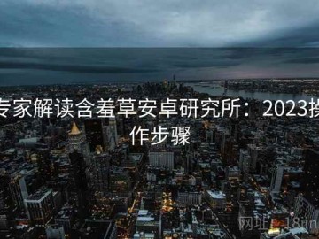 专家解读含羞草安卓研究所：2023操作步骤