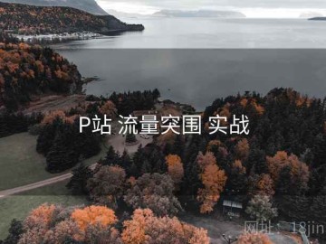 P站 流量突围 实战