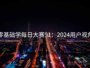 零基础学每日大赛91：2024用户视角