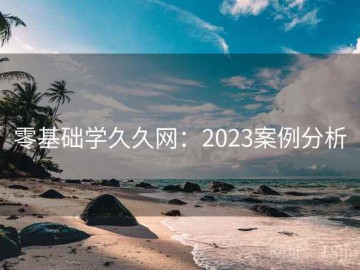 零基础学久久网：2023案例分析
