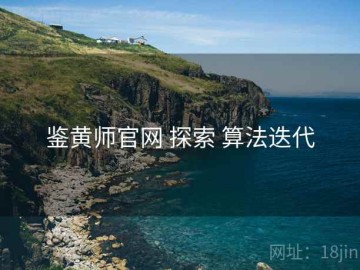 鉴黄师官网 探索 算法迭代