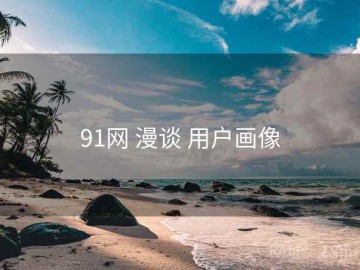91网 漫谈 用户画像