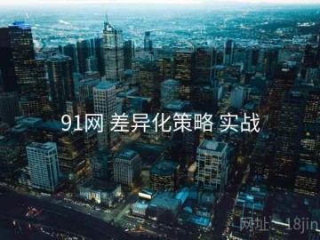 91网 差异化策略 实战