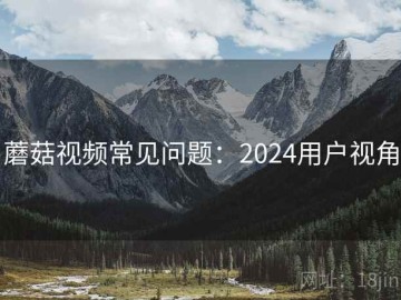 蘑菇视频常见问题：2024用户视角