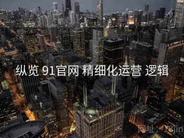 纵览 91官网 精细化运营 逻辑