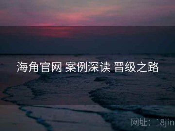 海角官网 案例深读 晋级之路