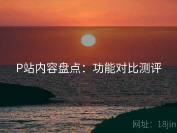 P站内容盘点：功能对比测评