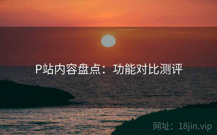 P站内容盘点：功能对比测评