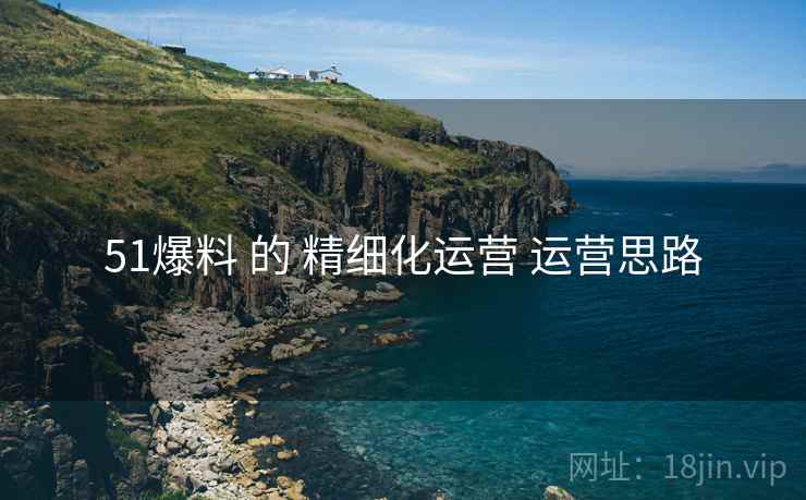 51爆料 的 精细化运营 运营思路