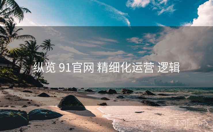 纵览 91官网 精细化运营 逻辑