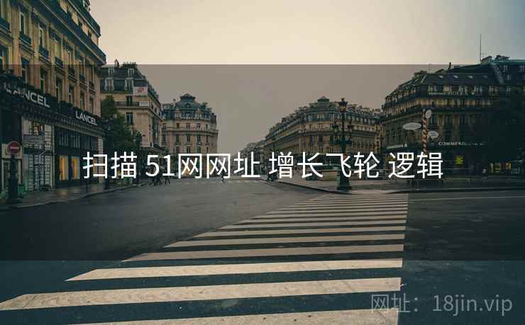 扫描 51网网址 增长飞轮 逻辑