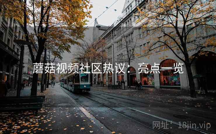 蘑菇视频社区热议：亮点一览