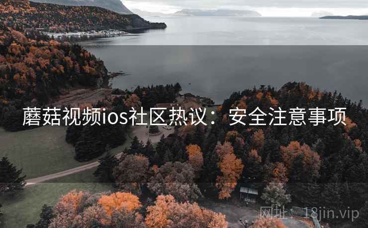 蘑菇视频ios社区热议：安全注意事项
