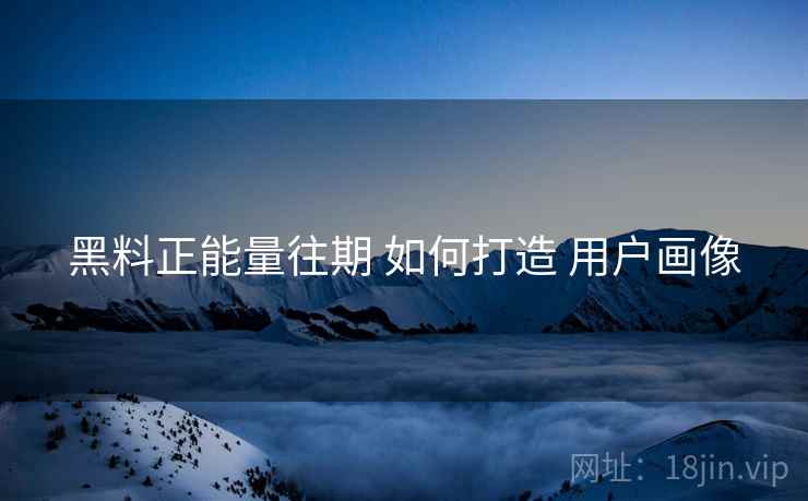 黑料正能量往期 如何打造 用户画像