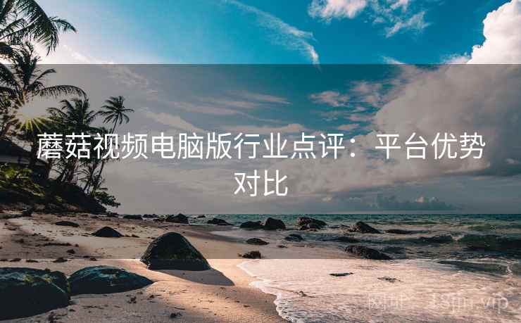 蘑菇视频电脑版行业点评：平台优势对比