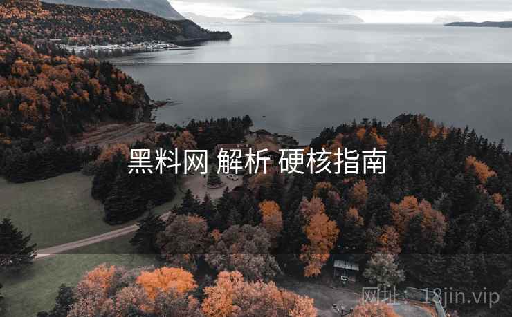 黑料网 解析 硬核指南
