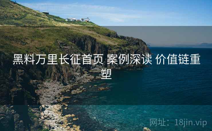黑料万里长征首页 案例深读 价值链重塑