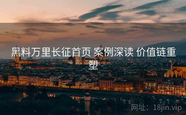 黑料万里长征首页 案例深读 价值链重塑