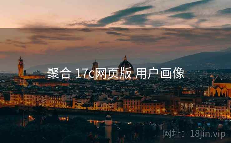 聚合 17c网页版 用户画像